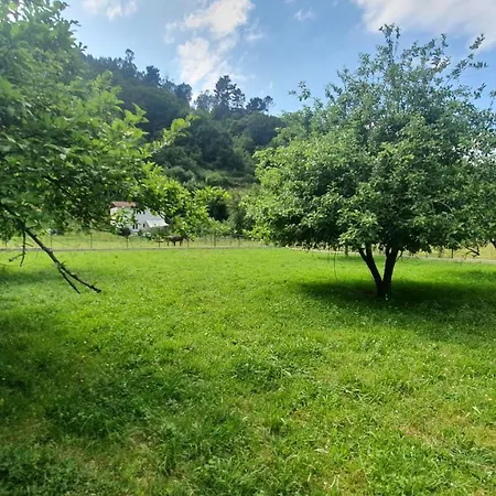 Casa Candela 12 Pax A 500m De Cangas De Onis - Vv-2248-as *